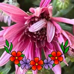 Carrie Rogers - Facebook