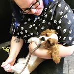 Carrie Ross - @fortheloveofpupsgrooming - Instagram