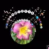 Carrie Ross - @carrie.ross6 - TikTok