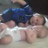 caeryritter - @caeryritter - TikTok