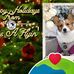 Carrie Sack - Facebook