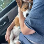 Carrie Sack - @carriesack - Instagram