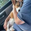 Carrie Sack - @carrie.sack - TikTok