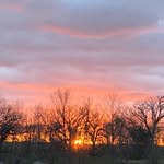 Carrie Sackett - @carrie.sackett.56 - Instagram