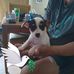 Carrie Sam - Facebook
