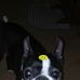 Carolyn Samples - Facebook