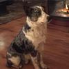 Carrie Sanborn - @carrie.sanborn - TikTok