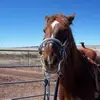 Carrie Sanchez - @user237658486 - TikTok