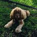 Carrie Sanchez - Facebook