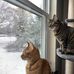 Kiyara Schuster - Facebook