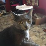 Carrie Shafer - @shafercarrie - Instagram