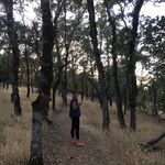 Carrie Abel Shaffer - @caaariea - Instagram