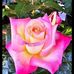 Carrie Shaffer - Facebook