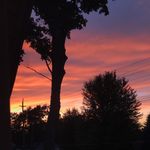 Carrie Shaffer - @carrieshaffer57 - Instagram