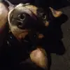 carriesheets0 - @carriesheets0 - TikTok