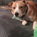 Carrie Silvers - Facebook