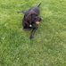Carrie Sinclair - Facebook