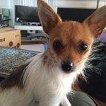 Carrie Singleton - @carriesing17 - Instagram