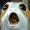 Carrie - @carriesmall4 - TikTok