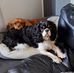 Carrie Smart - Facebook
