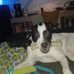 Carrie Smithson - Facebook