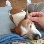 Carrie Snyder - @carriesny24 - Instagram