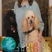 Carrie Springer - Facebook