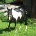 Carolyn Walters - Facebook