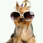 Carrie Steele - @carriesteele948 - Instagram