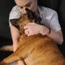 Carrie Sterner Jessica - Facebook