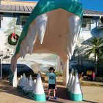 Carrie Steiner - @steiner6817 - Instagram