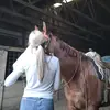 Carrie - @carrie.stephens - TikTok