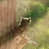 Carrie Stepp - @carrie.stepp - TikTok
