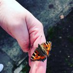 Carrie Stringer - @carriewillis1981 - Instagram
