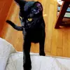 carriestringer1277 - @carriestringer1277 - TikTok