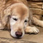 Carrie Strong - @cstrong013 - Instagram
