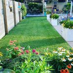 Carrie Strong | Garden 🌸 - @strongrootssetx - Instagram