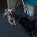 Carrie Studer - Facebook