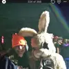 Carrie Shultz - @carrie.shultz - TikTok