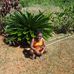 Kera Stultz - Facebook
