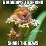 Carrie Swanson - @careswan1 - Instagram