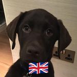 Carrie Swanson Fleming - @3cmum - Instagram