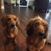 Carrie Gettler Taber - Facebook
