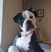 Carrie Terry - Facebook