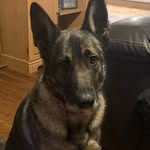 Carrie Terry - @mamacat38 - Instagram