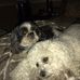 Carrie Wainwright - Facebook