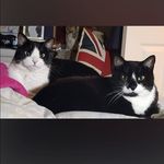 Caroline Wakefield - @kernowcarrie - Instagram