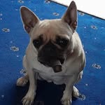 Carrie Waters - @carrie.waters.102 - Instagram