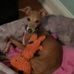 Carrie Wayne - Facebook