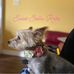 Carrie Quinton Weigel - Facebook